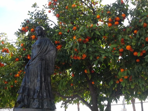 Carmen circondata di aranci