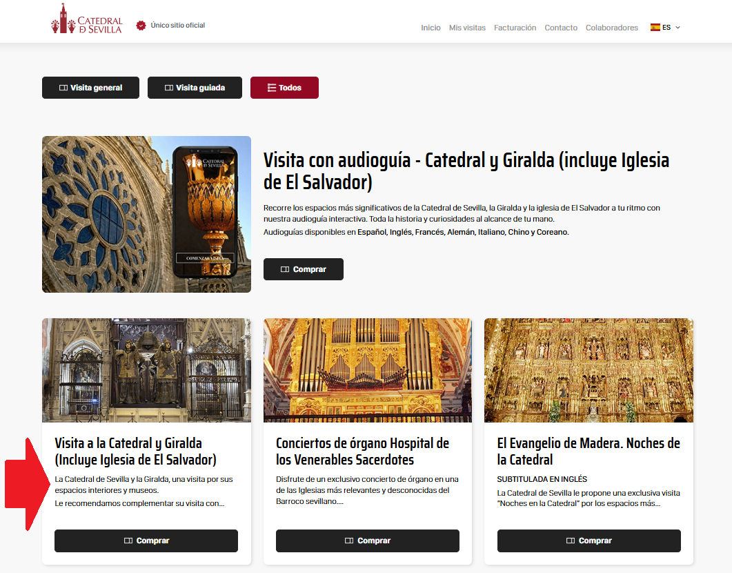 Tipi di biglietti per la visita culturale alla Cattedrale di Siviglia